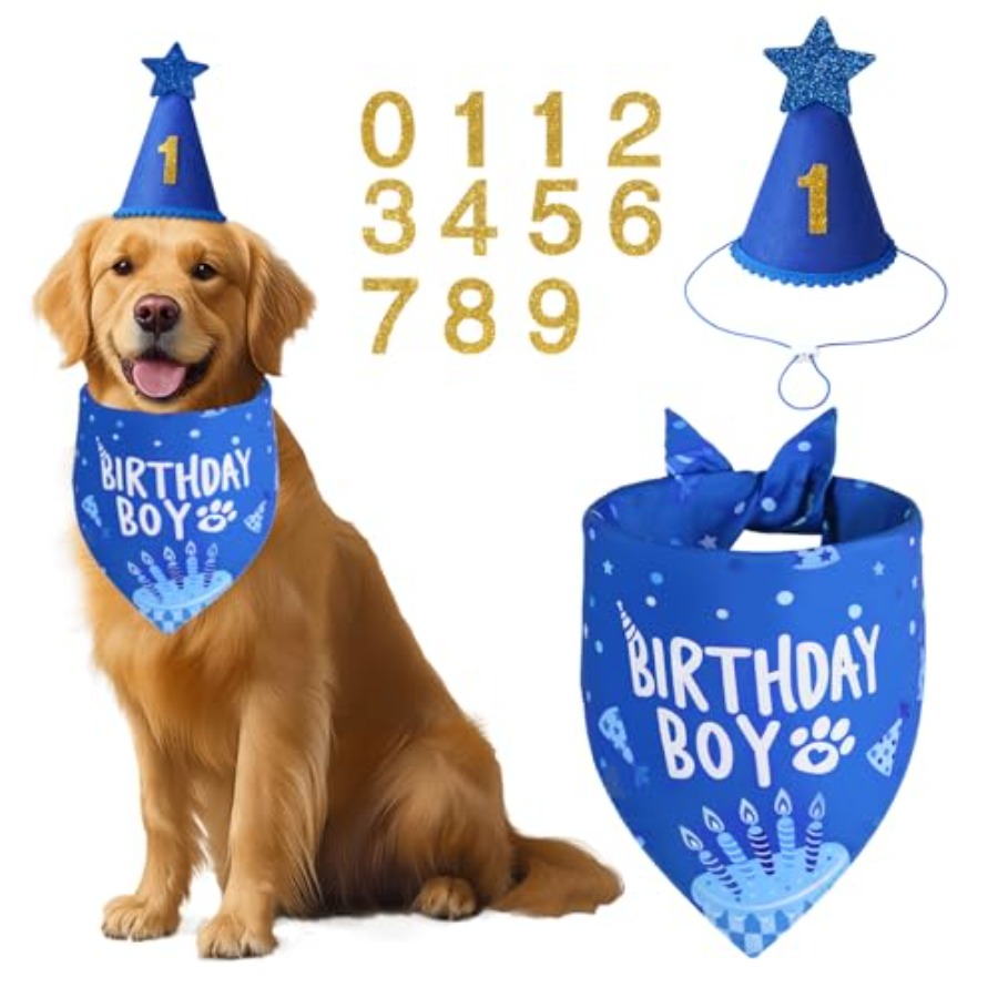 Pet X Supplies & Tack Reviews - Dog Birthday Party Supplies, Blue Dog