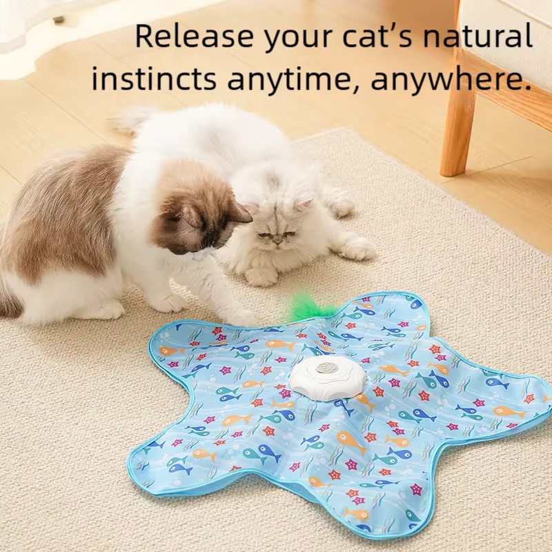 Motion Activated Interactive C - Cat Tunnel Toy avis et prix