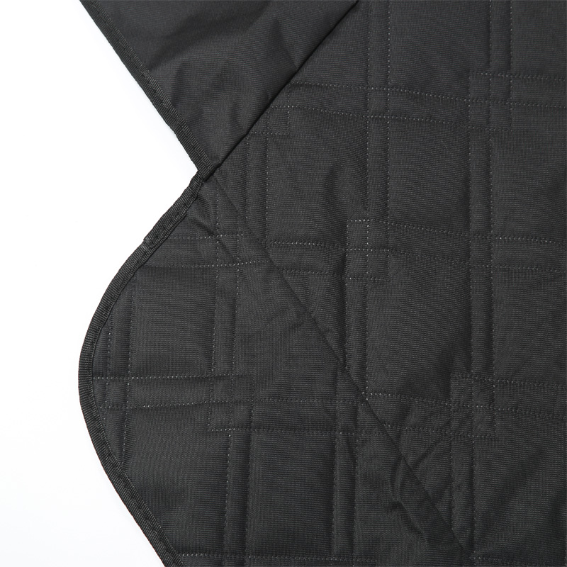 Pet Pad for Tesla Model 3 Y Re - Dog Raincoat avis et prix