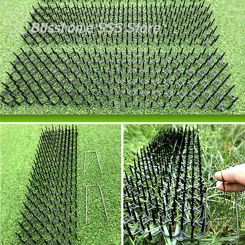 【S】Garden Cat Scat Mat Anti Ca - Pet Supplies Warehouse avis et prix
