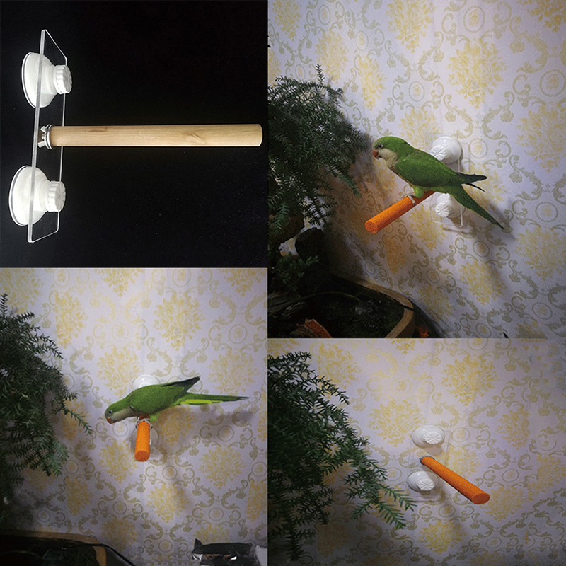 1/2ps Parrot Pet Raw Standing  - Pet X Supplies & Tack Reviews avis et prix