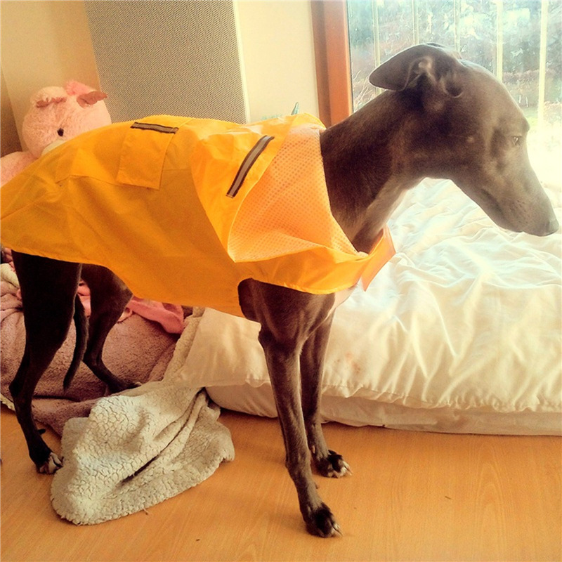 Dog Raincoat Waterproof Hoodie - Dog Raincoat avis et prix