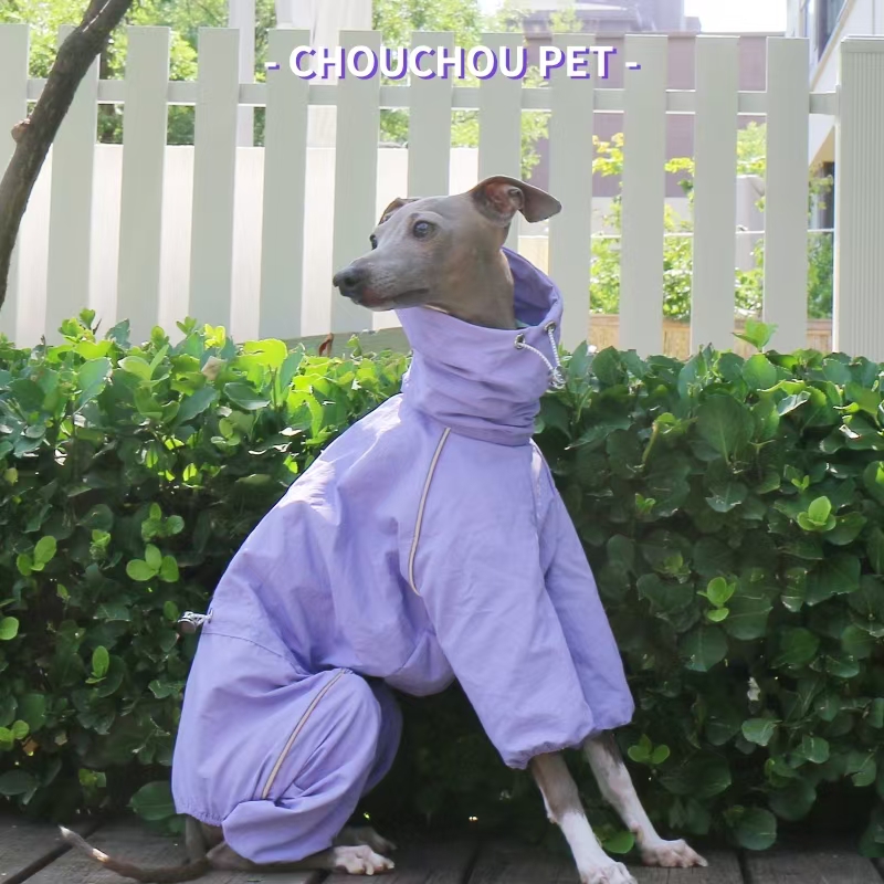 Italian Greyhound Raincoat Aut - Dog Raincoat avis et prix