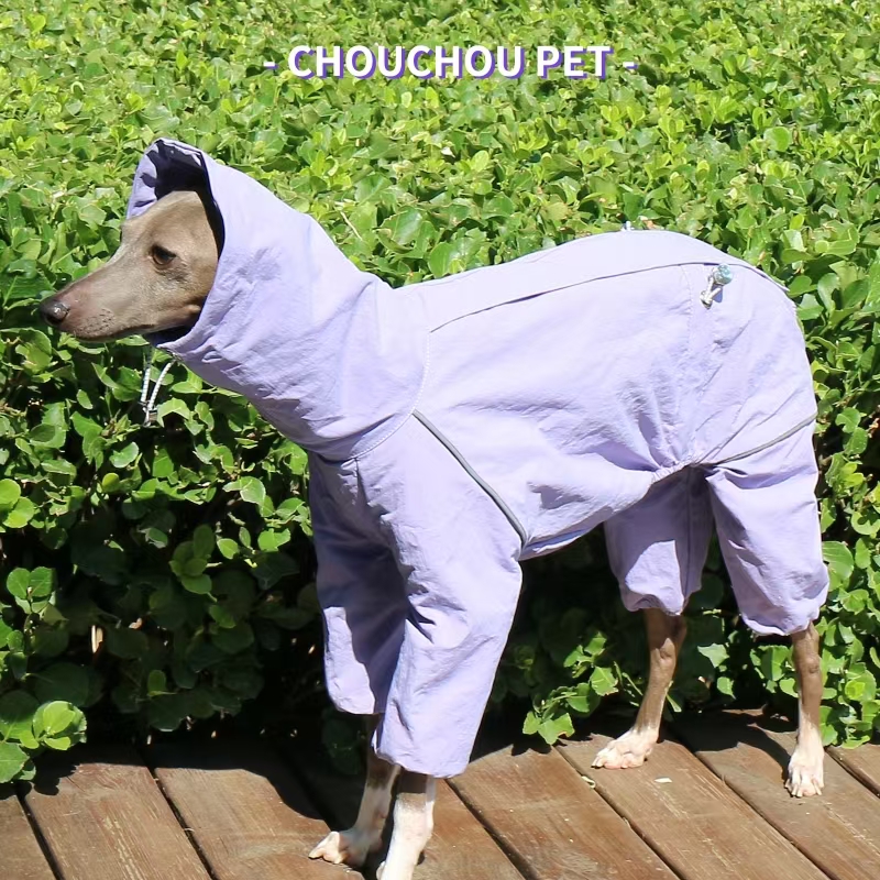 Italian Greyhound Raincoat Aut - Dog Raincoat avis et prix