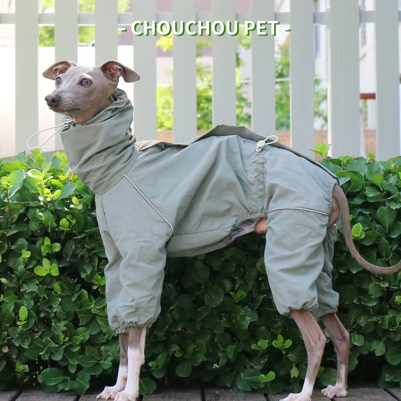 Italian Greyhound Raincoat Aut - Dog Raincoat avis et prix