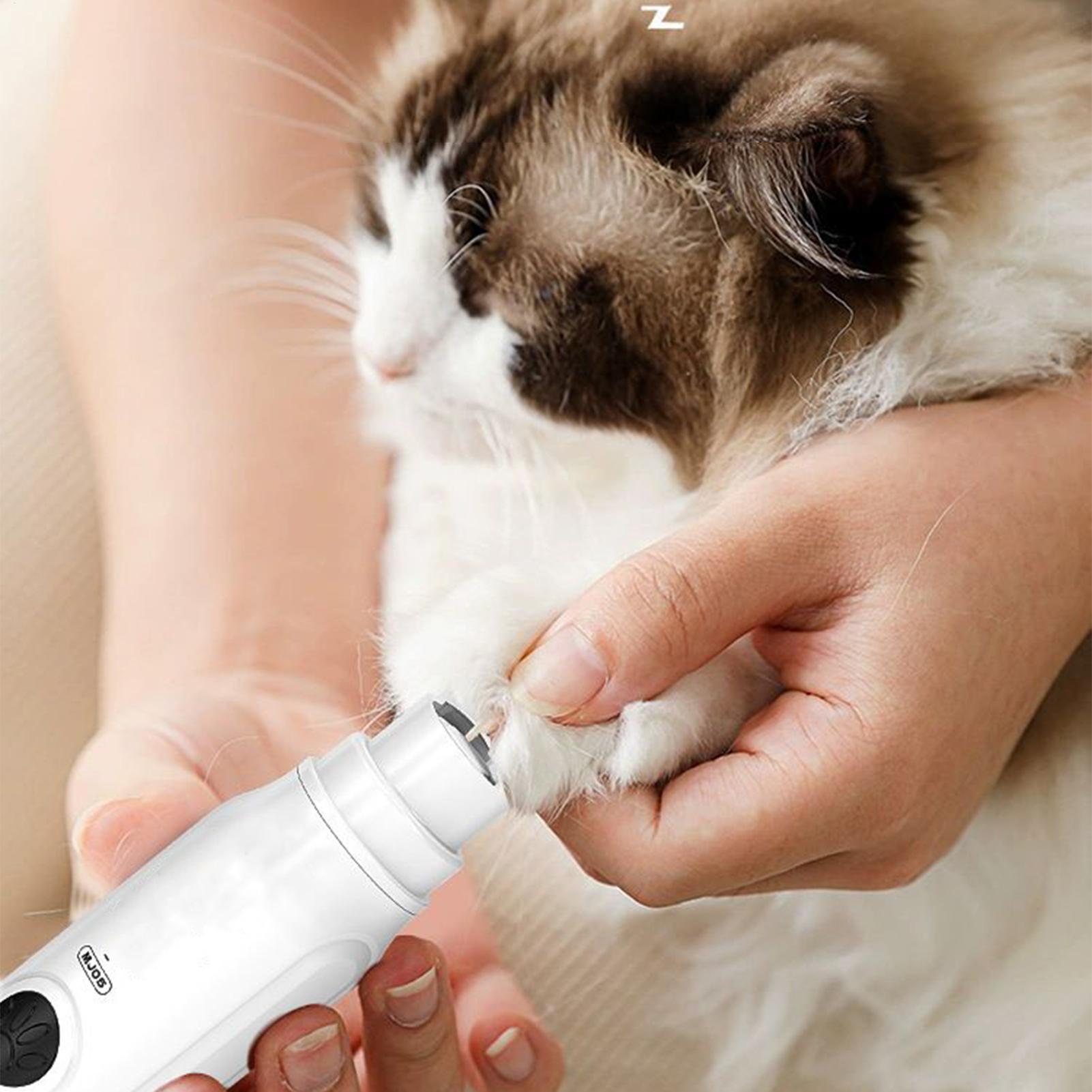 Pet Nail Grinder Electric Quie - Pet Supplies Nail Trim avis et prix