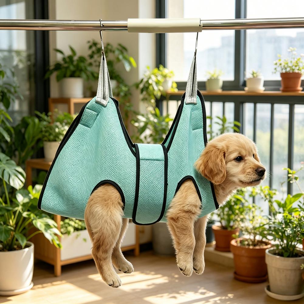 Pet Grooming Hammock Cat Dog N - Dog Grooming Clippers avis et prix