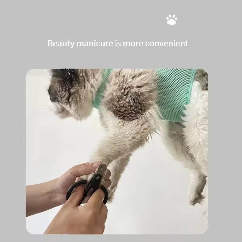 Cat Grooming nail cutting anti - Pet Supplies Nail Trim avis et prix