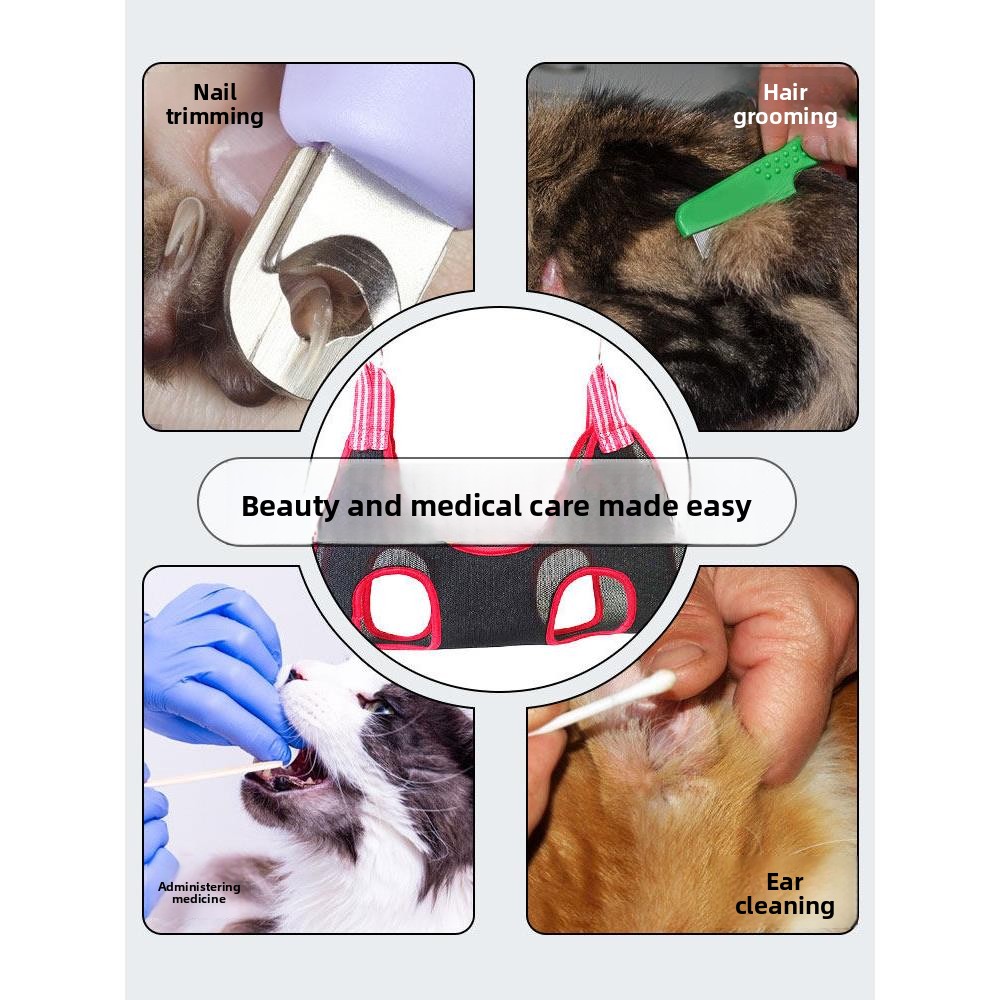  Nail Trimming Anti-Bite Fixed - Pet Supplies Nail Trim avis et prix