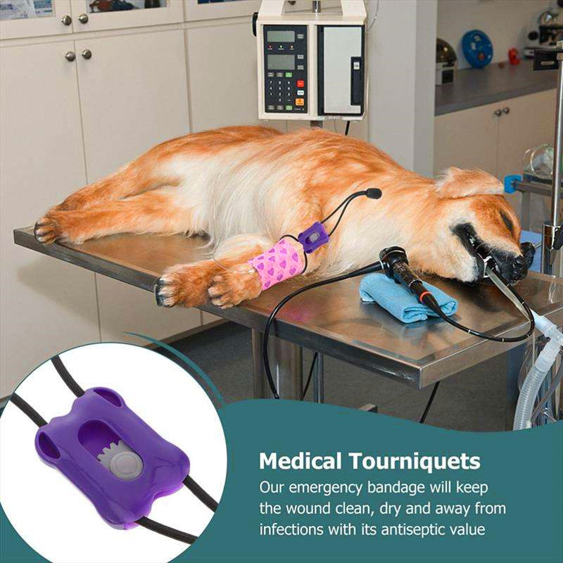 Plastic Pet Tourniquet Animal  - Pet Supplies Warehouse avis et prix