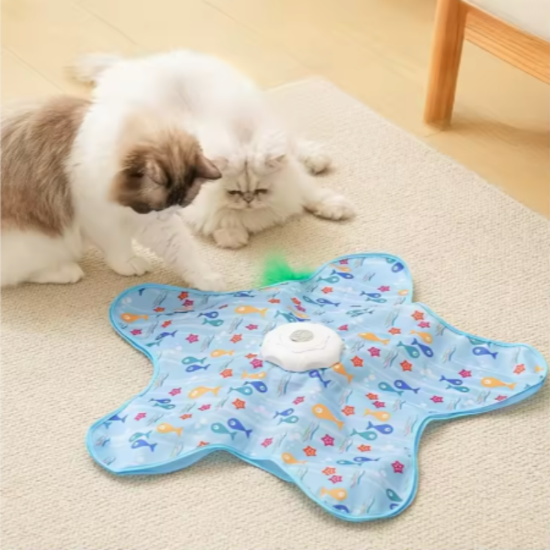 Interactive Cat Toy Hide And S - Cat Tunnel Toy avis et prix