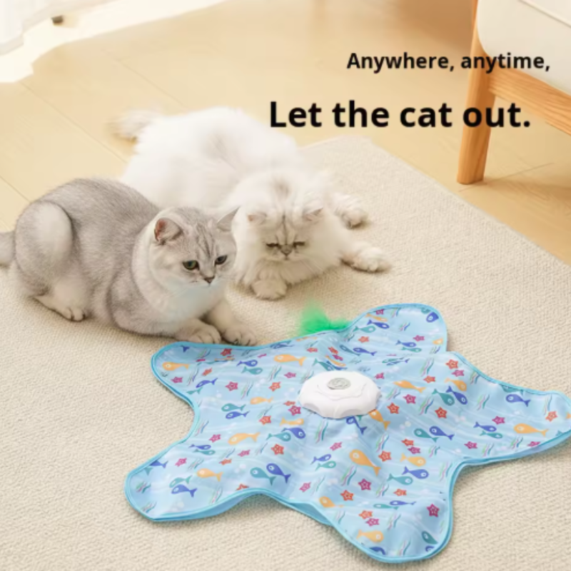 Interactive Cat Toy Hide And S - Cat Tunnel Toy avis et prix