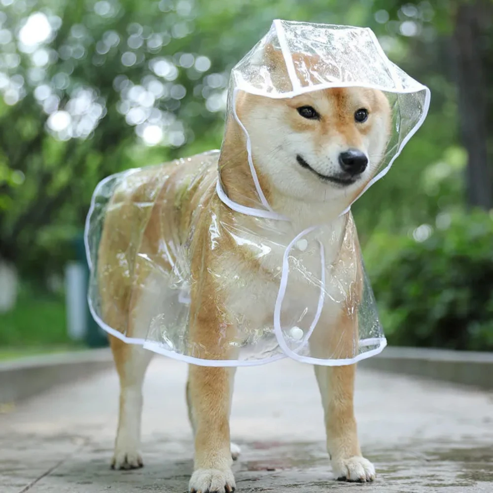 Dog Raincoat Puppy Transparent - Dog Raincoat avis et prix