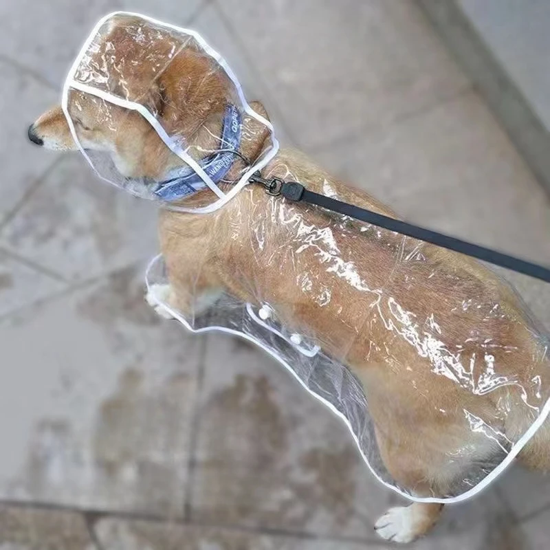 Dog Raincoat Puppy Transparent - Dog Raincoat avis et prix
