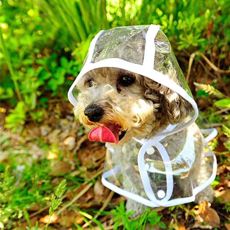 Dog Raincoat Puppy Transparent - Dog Raincoat avis et prix