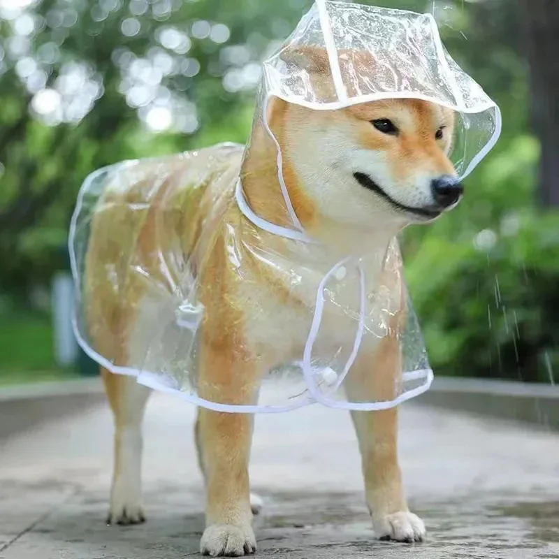 Dog Raincoat Puppy Transparent - Dog Raincoat avis et prix