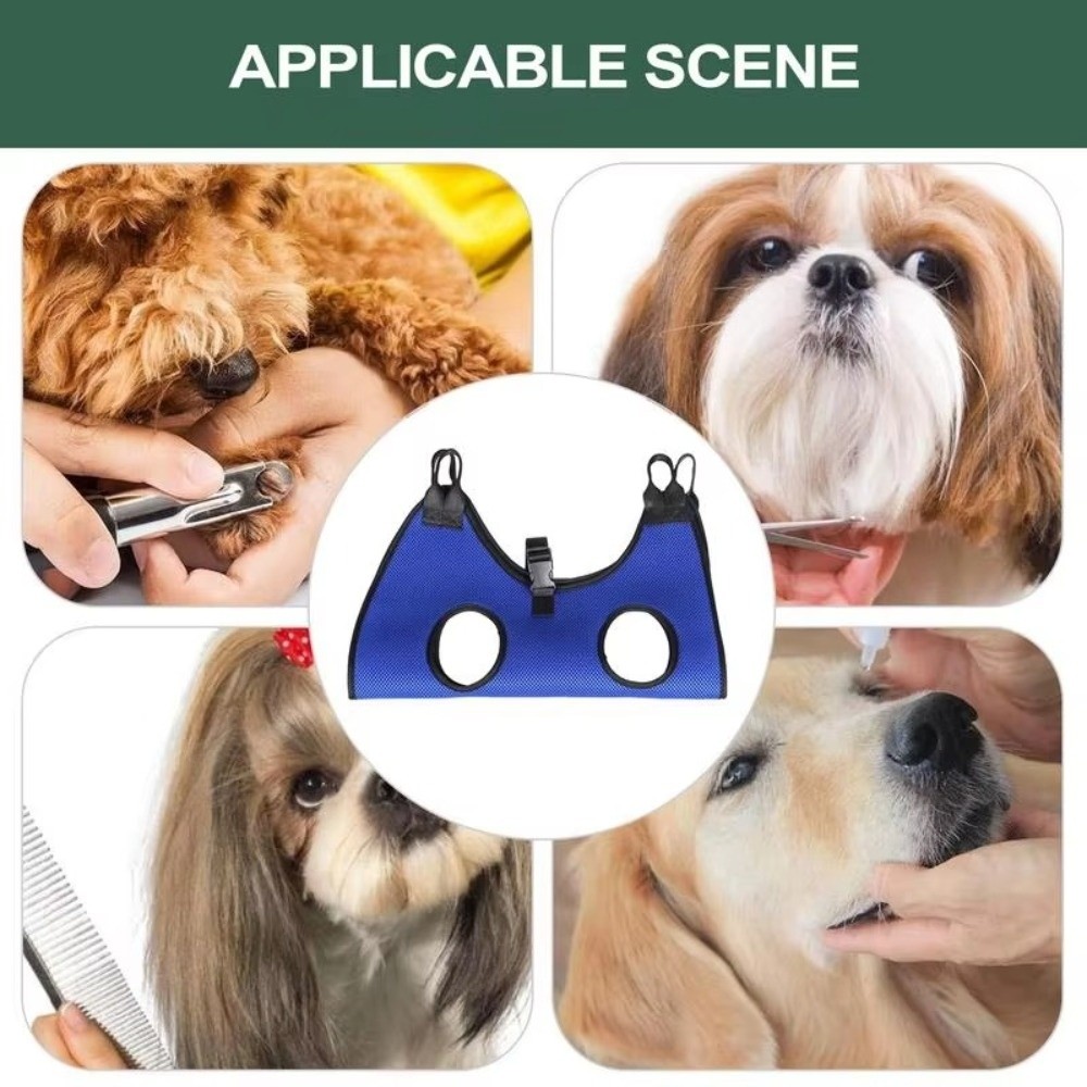 Large Pet Grooming Hammock Ant - Dog Grooming Clippers avis et prix