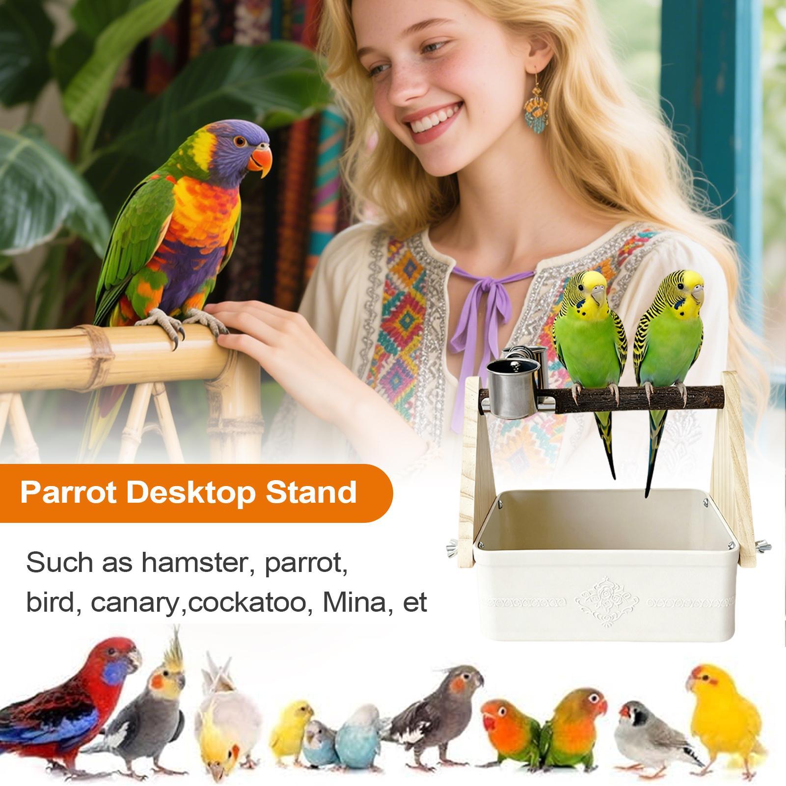 Bird Tabletop Perch Lovebirds  - Pet Supplies Zoo avis et prix
