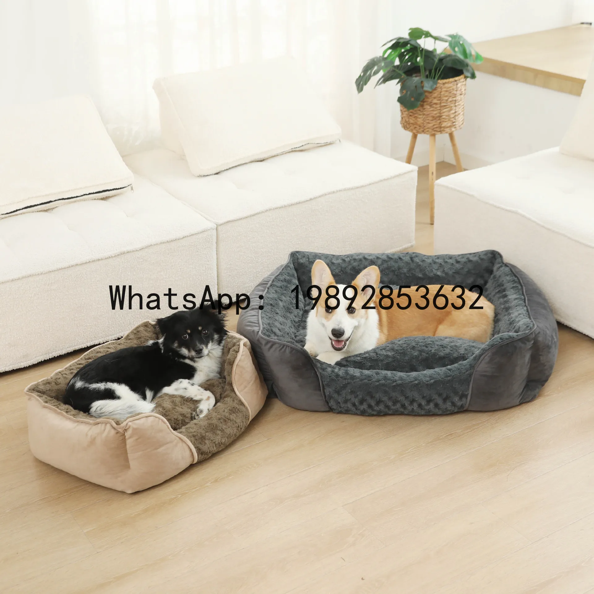 X cat house semi-enclosed dog  - Pet X Supplies & Tack Reviews avis et prix