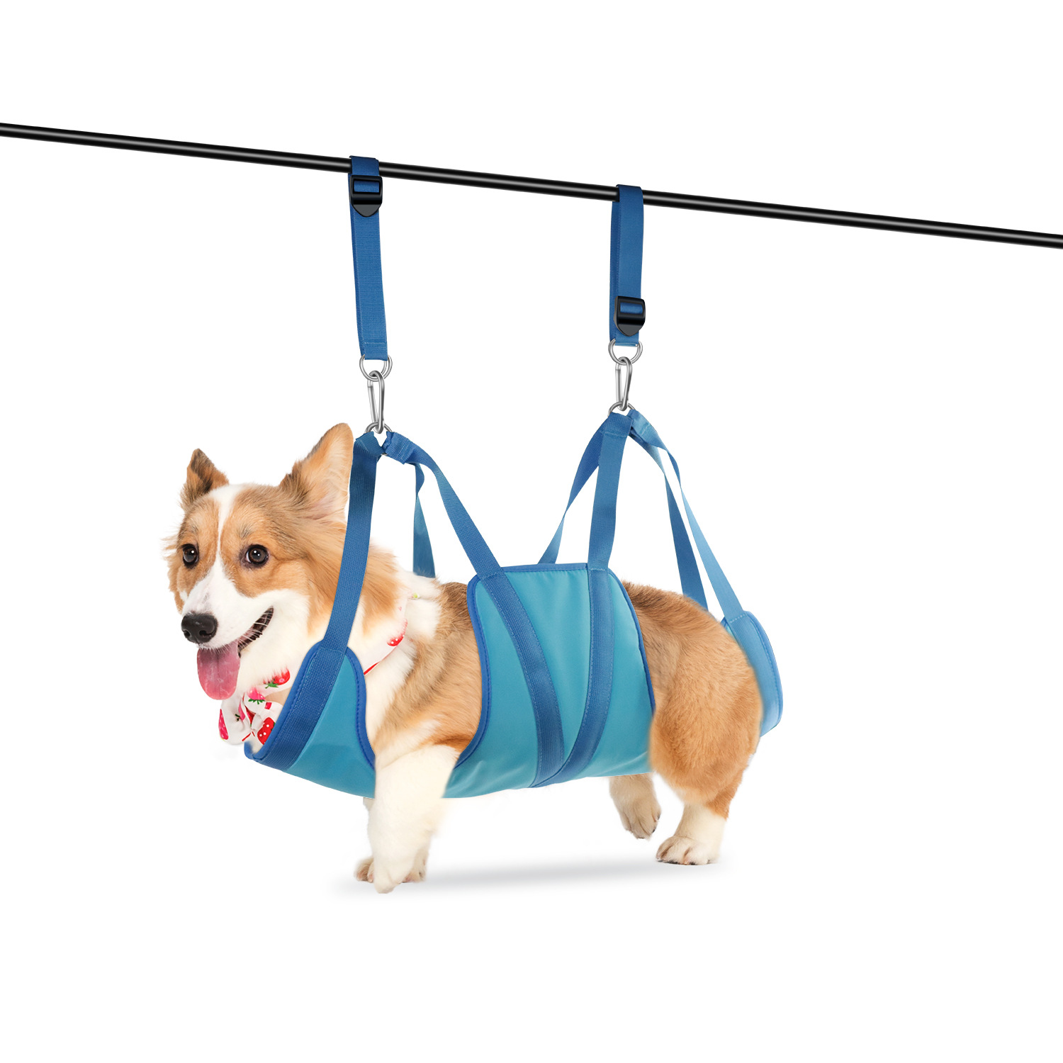 Pet Grooming Hammock Convenien - Pet Supplies Nail Trim avis et prix