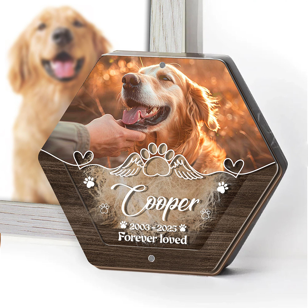Personalized Name Wooden Carvi - Pet Supplies Warehouse avis et prix