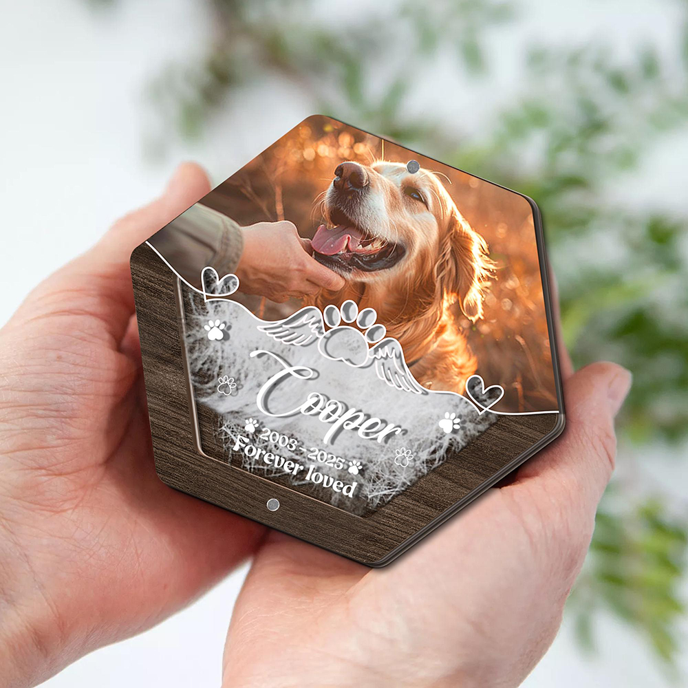 Personalized Name Wooden Carvi - Pet Supplies Warehouse avis et prix