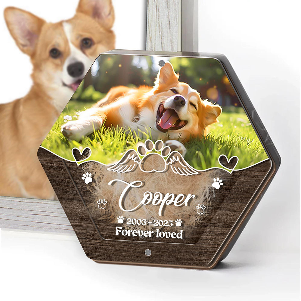 Personalized Name Wooden Carvi - Pet Supplies Warehouse avis et prix