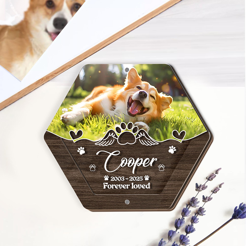 Personalized Name Wooden Carvi - Pet Supplies Warehouse avis et prix