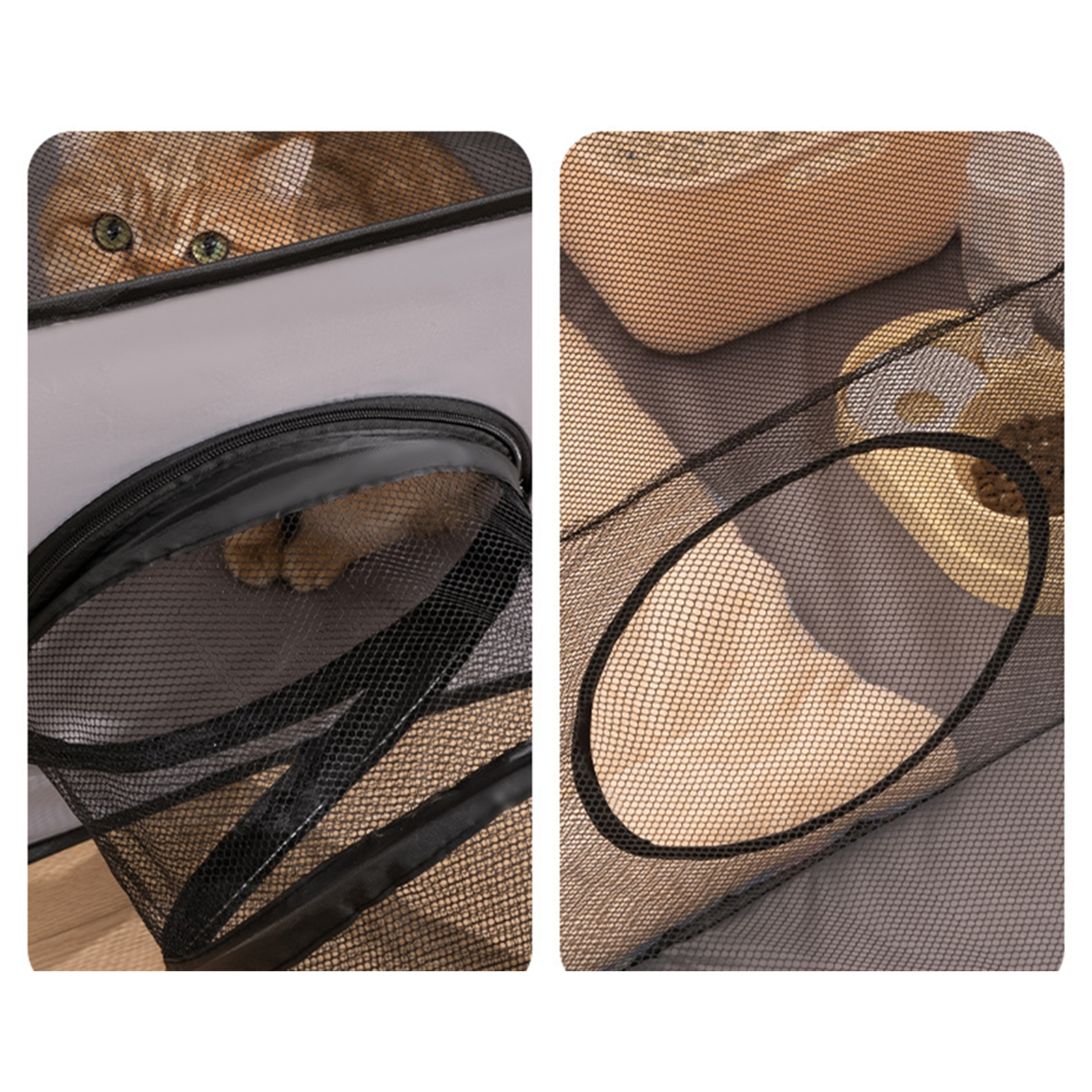 Cat Tube Tunnel Cage House Fol - Cat Tunnel Toy avis et prix