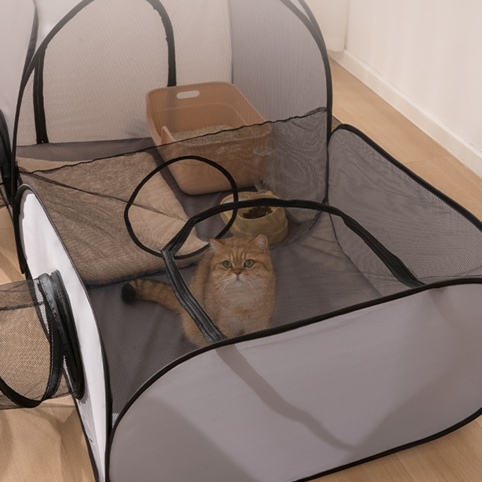 Cat Tube Tunnel Cage House Fol - Cat Tunnel Toy avis et prix