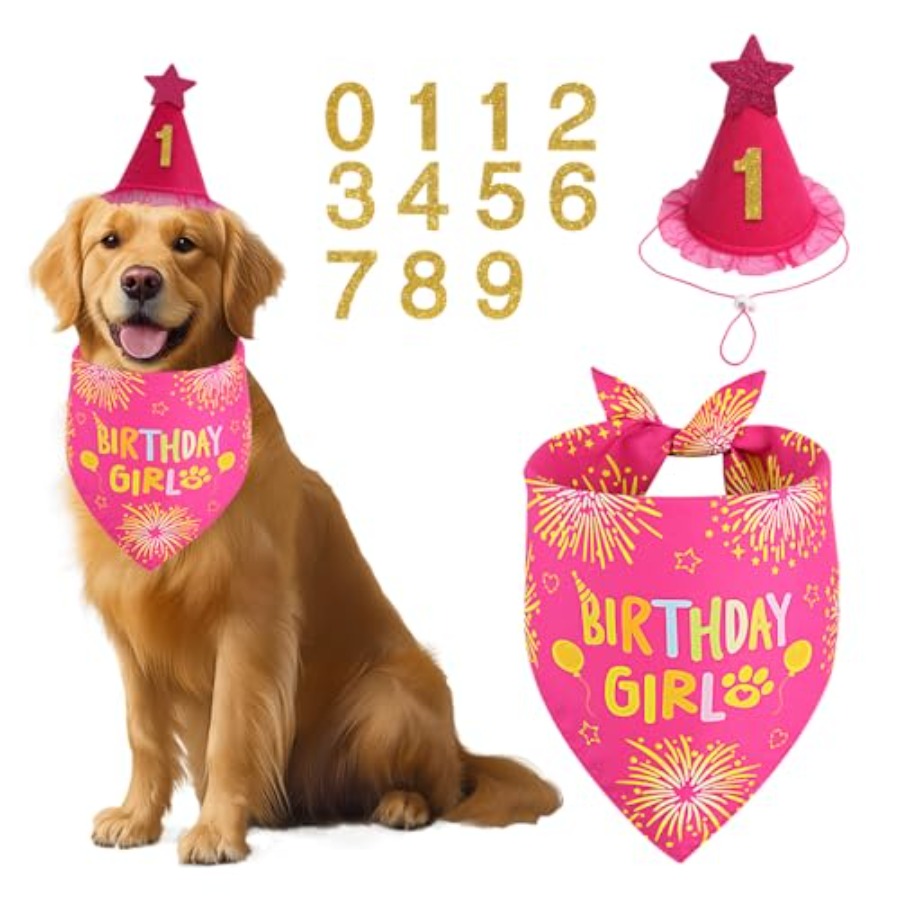 Dog Birthday Party Supplies, R - Pet X Supplies & Tack Reviews avis et prix