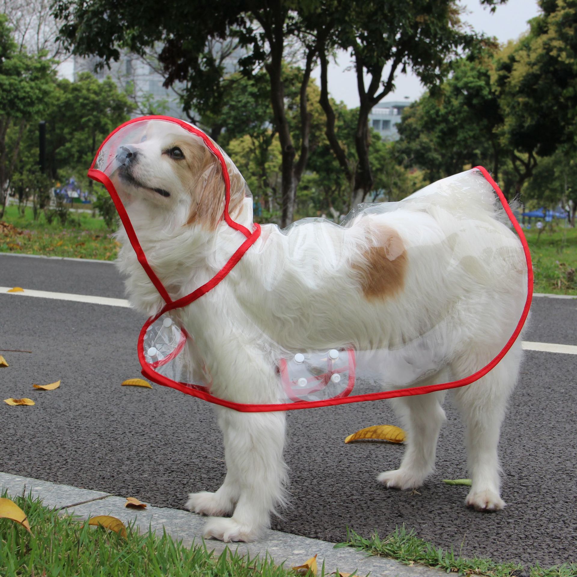 Xs-8XL Fashionable Pet Dog Clo - Dog Raincoat avis et prix