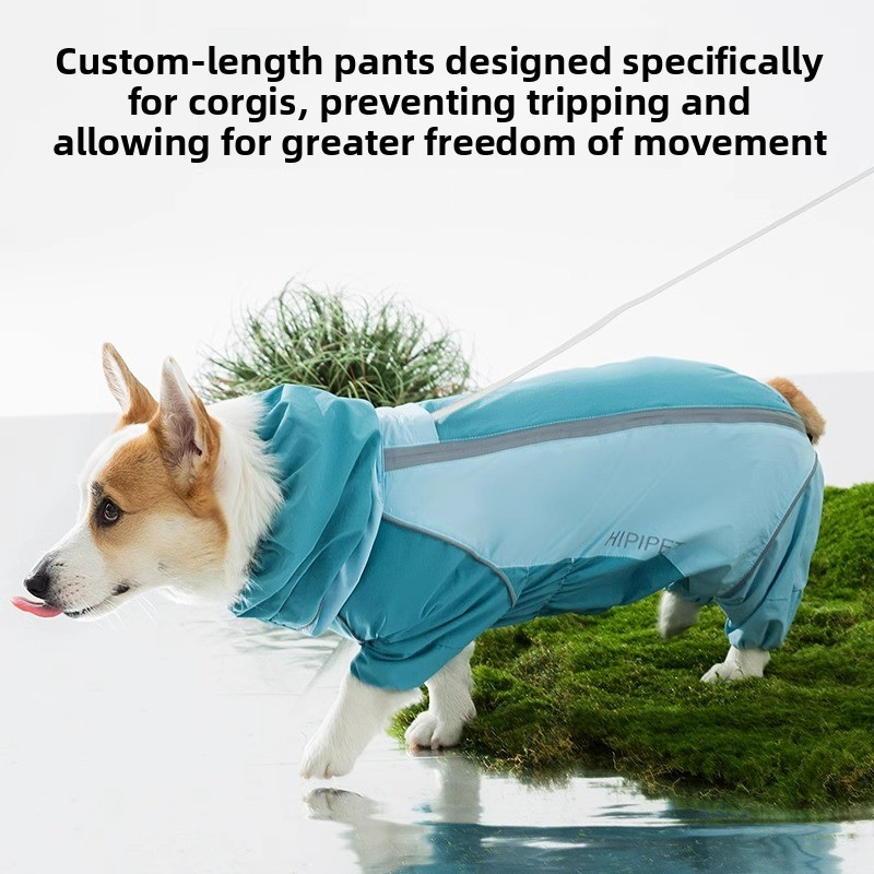 2026 Full Coverage Color Block - Dog Raincoat avis et prix