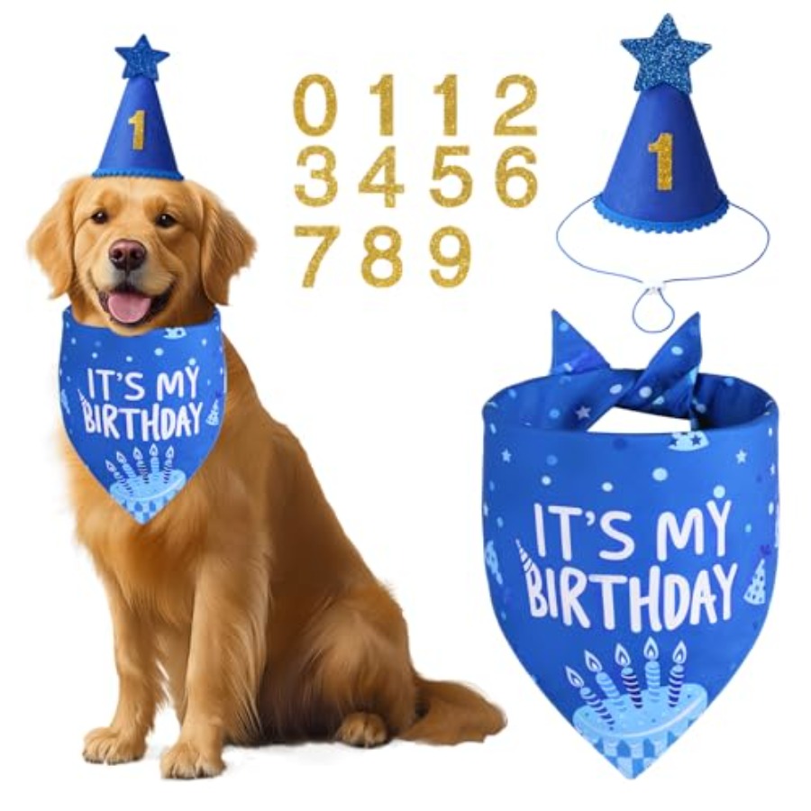 Dog Birthday Party Supplies, B - Pet X Supplies & Tack Reviews avis et prix