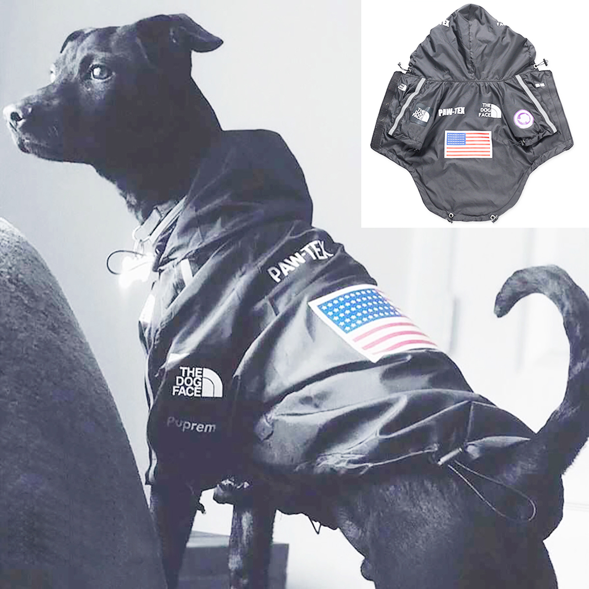 Pet Dog Waterproof Coat Dog Ra - Dog Raincoat avis et prix