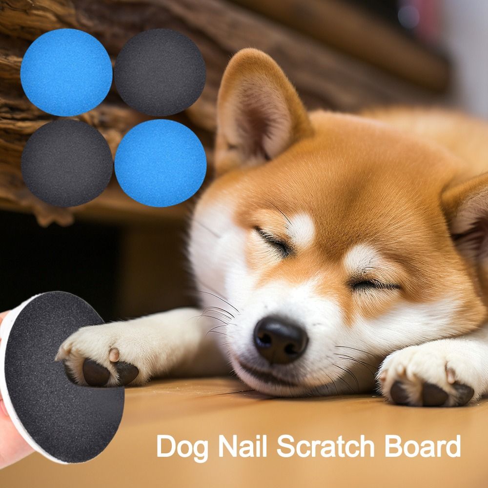 Replacement Pet Supplies Dog N - Pet Supplies Nail Trim avis et prix