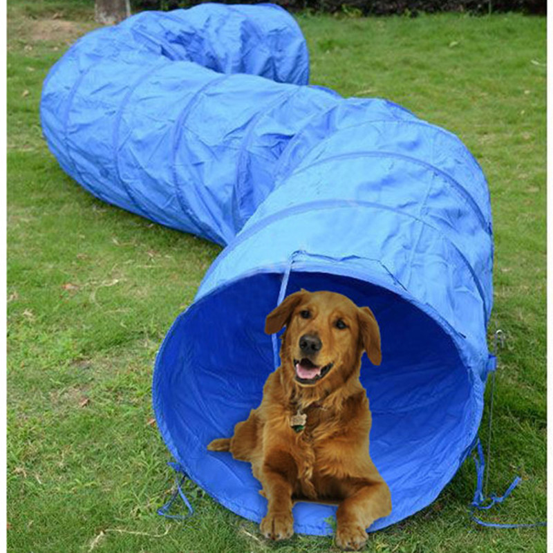 Dog Agility Training Equipment - Cat Tunnel Toy avis et prix
