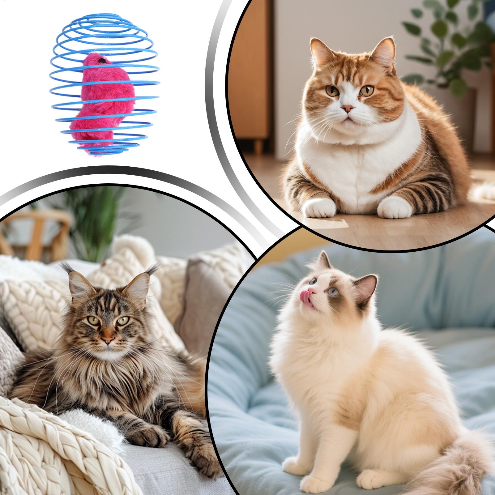 Cat Spiral Toy Interactive Fun - Cat Tunnel Toy avis et prix