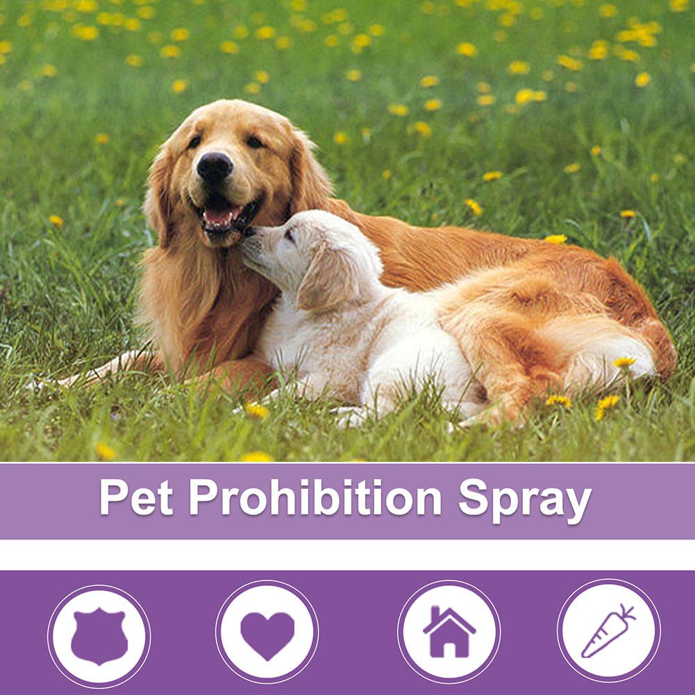 50ml Pet Calming Spray Prevent - Pet Supplies Warehouse avis et prix