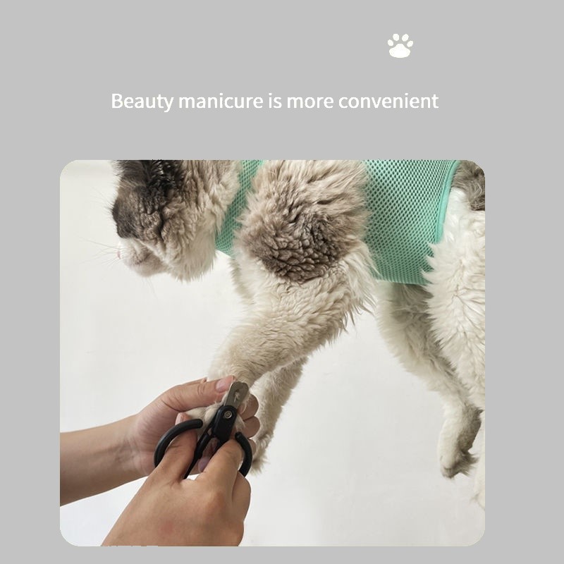 Cat Grooming nail cutting anti - Pet Supplies Nail Trim avis et prix