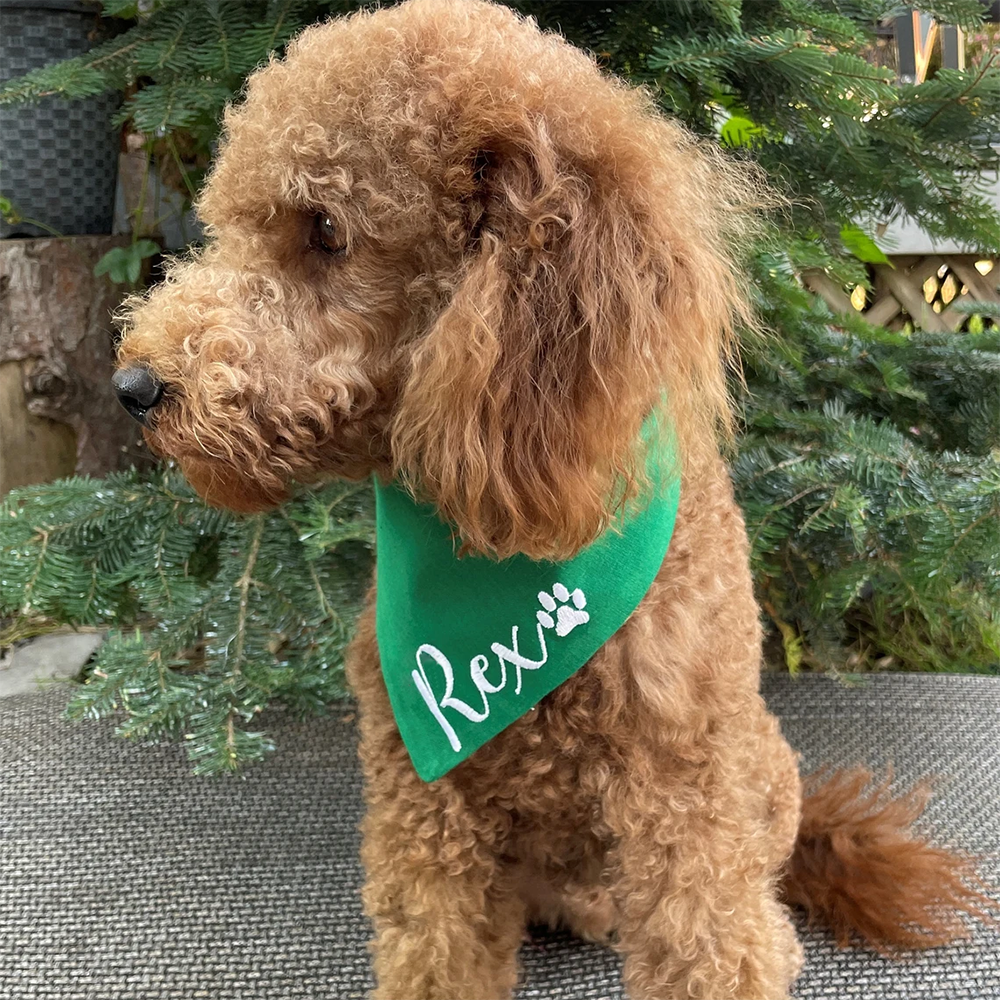 Personalized name Dog Christma - Pet Supplies Warehouse avis et prix