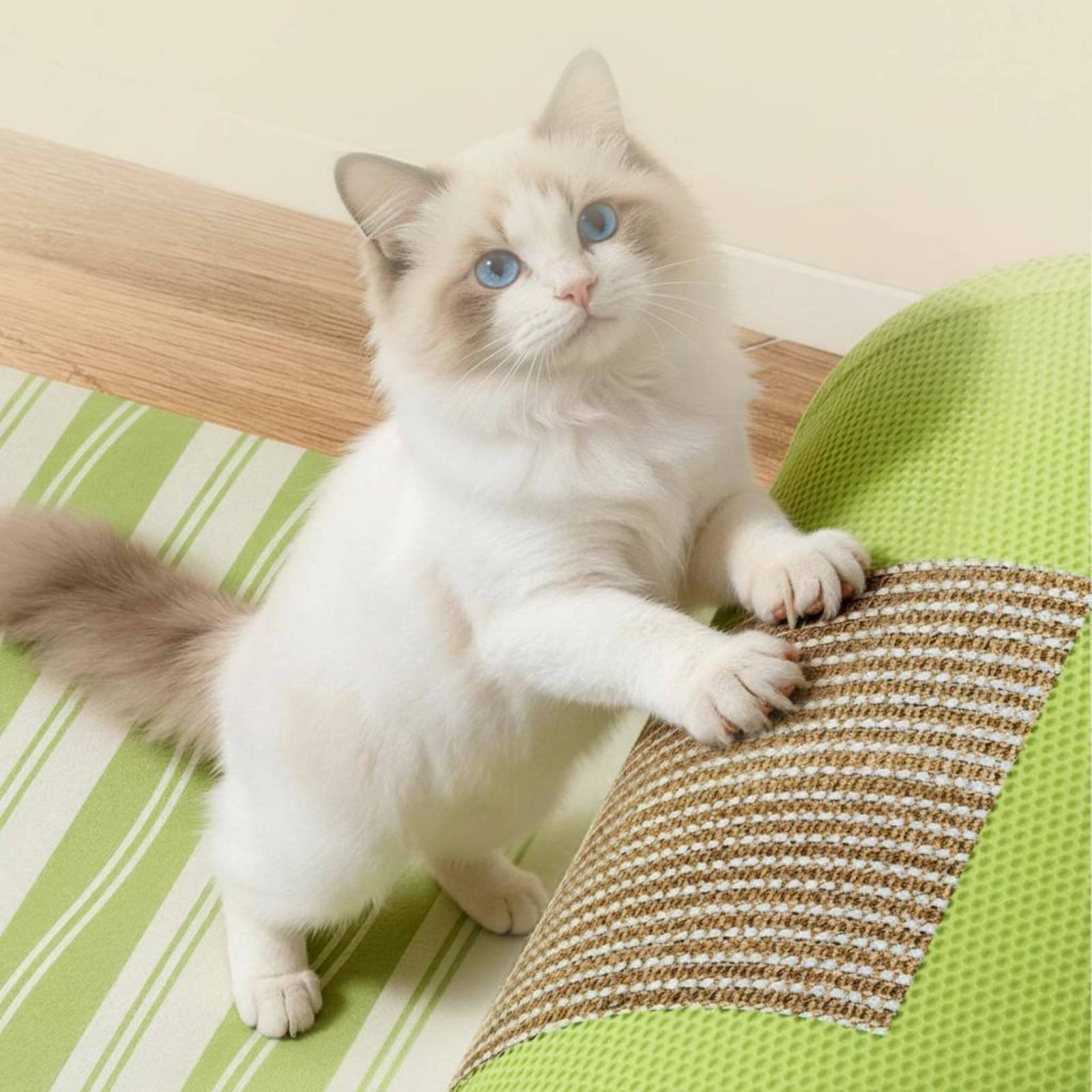Feline Scratcher Tunnel Dangli - Cat Tunnel Toy avis et prix