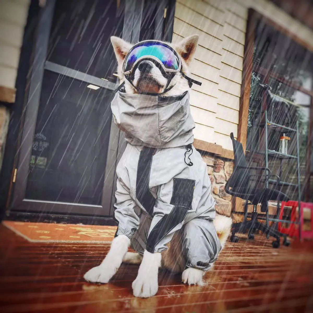 Outdoor Large Dog Raincoat Sun - Dog Raincoat avis et prix